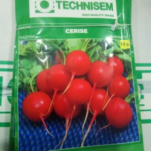 RADISH