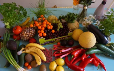 Farming Opportunities to Start Before the Rainy Season Begins
